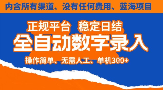 全自动数字录入，单机日入3张+，内含所有渠道全程免费零成本，操作简单可矩阵开干【揭秘】-黑猫科技云网创