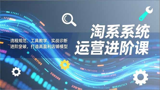 淘系系统运营进阶课2.0，流程规范、工具教学、实战诊断，进阶突破，打造高盈利店铺模型-黑猫科技云网创