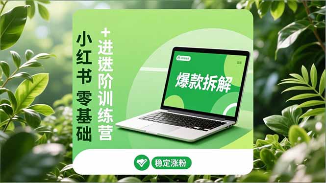 小红书零基础+高阶训练营：安全养号、爆款拆解、长效运营，实现稳定涨粉与变现-黑猫科技云网创