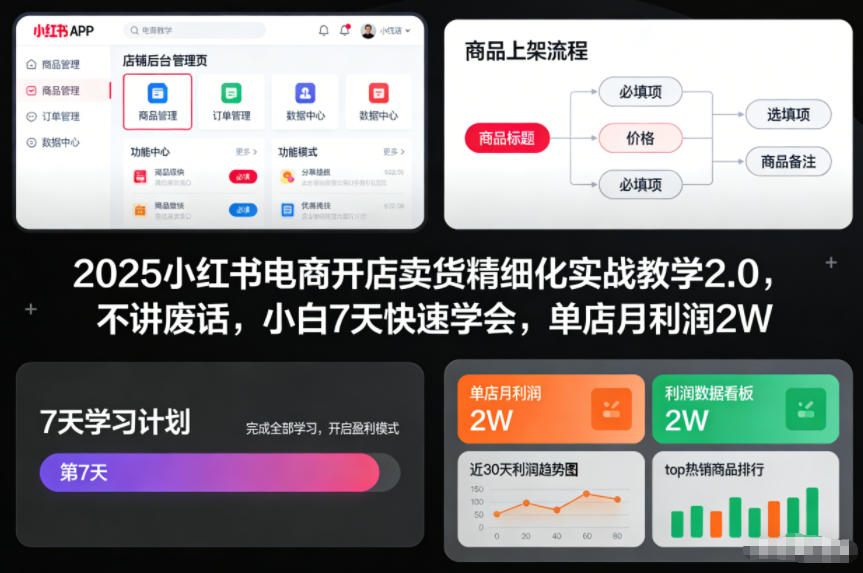 2025小红书电商开店卖货精细化实战教学2.0，不讲废话，小白7天快速学会，单店月利润2W-黑猫科技云网创