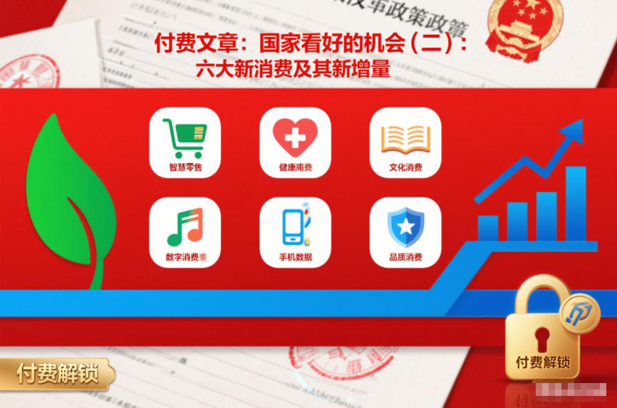 付费文章：国家看好的机会(二)：六大新消费及其新增量-黑猫科技云网创