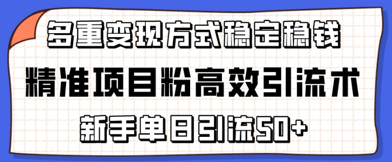 精准项目粉高效引流术，新手单日引流50+，多重变现方式稳定赚钱-黑猫科技云网创