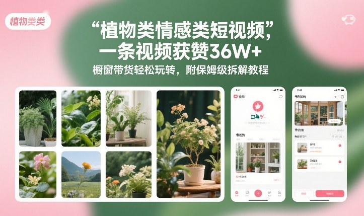 植物类情感类短视频，一条视频获赞36W+，橱窗带货轻松玩转，附保姆级拆解教程-黑猫科技云网创