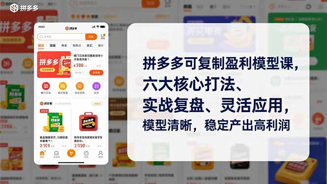 拼多多可复制盈利模型课，六大核心打法、实战复盘、灵活应用，模型清晰，稳定产出高利润-黑猫科技云网创