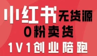 小红书无货源0粉电商课，开店准备、选品策略、笔记撰写、视频剪辑、数据分析、账号打造、资料文档(更新)-黑猫科技云网创