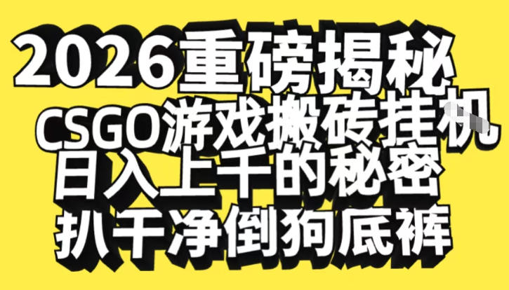 2026开年重磅解密，CSGO游戏搬砖挂G日入1k+的秘密，把倒狗的底裤扒干【揭秘】-黑猫科技云网创