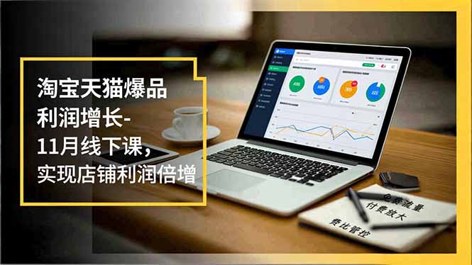 淘宝天猫爆品利润增长-11月线下课，免费流量、付费放大、费比管控，实现店铺利润倍增-黑猫科技云网创