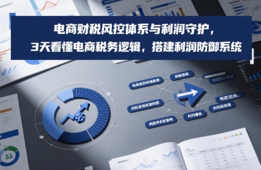 电商财税风控体系与利润守护，3天看懂电商税务逻辑，搭建利润防御系统-黑猫科技云网创