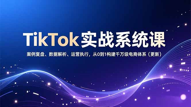 TikTok实战系统课，案例复盘、数据解析、运营执行，从0到1构建千万级电商体系(更新-黑猫科技云网创