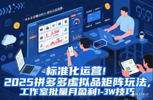 标准化运营！2025拼多多虚拟品矩阵玩法，工作室批量月盈利1-3W技巧【揭秘】-黑猫科技云网创