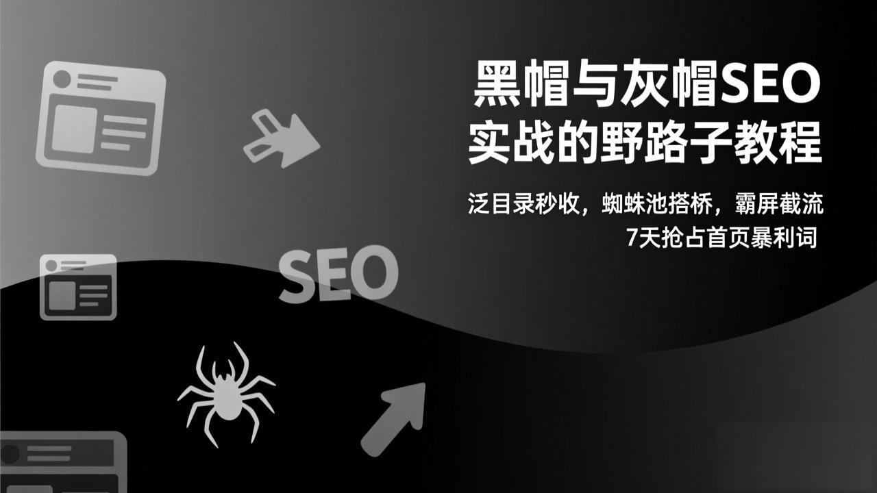 黑帽与灰帽SEO实战的野路子教程：泛目录秒收，蜘蛛池搭桥，霸屏截流，7天抢占首页暴利词-黑猫科技云网创
