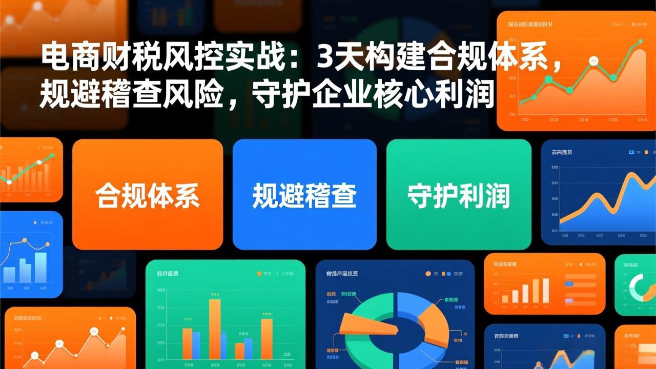 电商财税风控实战：3天构建合规体系，规避稽查风险，守护企业核心利润-黑猫科技云网创