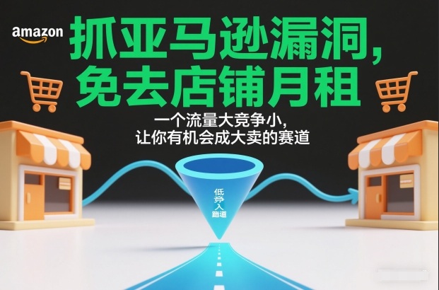 抓亚马逊漏洞，免去店铺月租，一个流量大竞争小，让你有机会成大卖的赛道-黑猫科技云网创